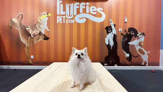 Fluffies Pet Stop Clinic thumb 2